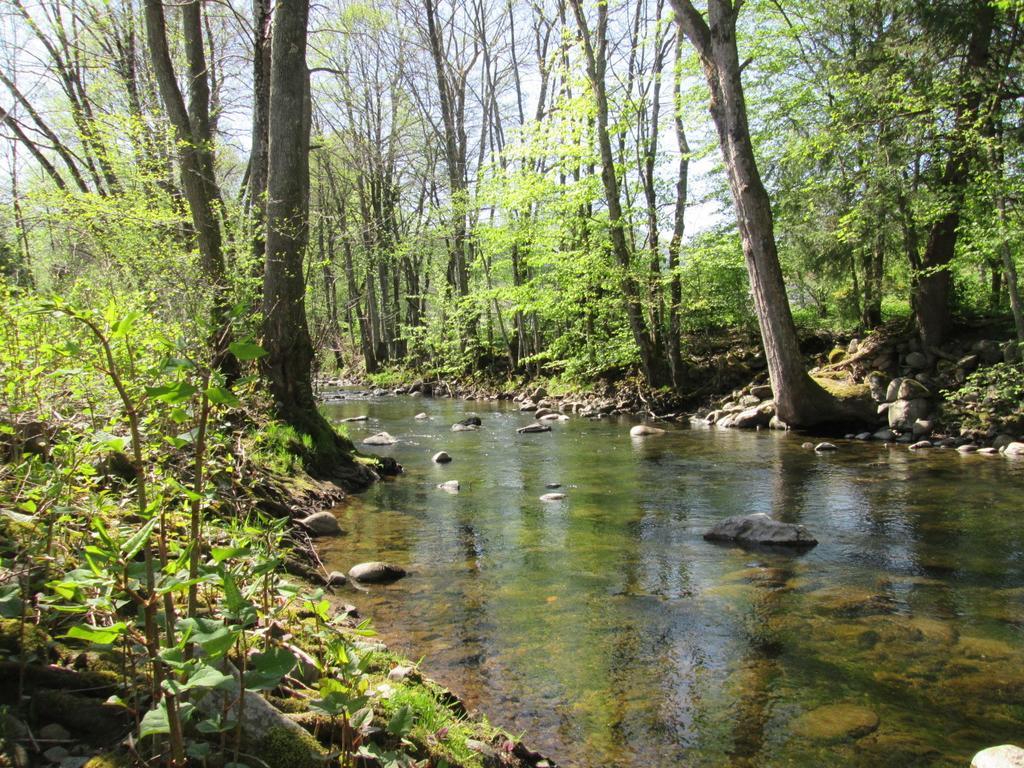 Camping De Masevaux エクステリア 写真